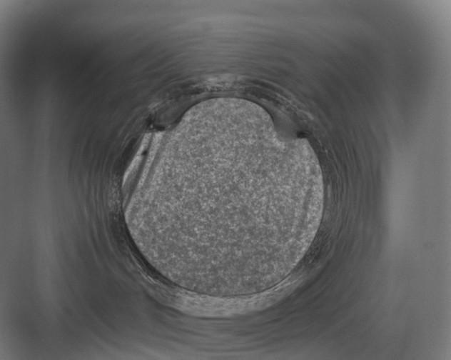 X0000082150048200702162220