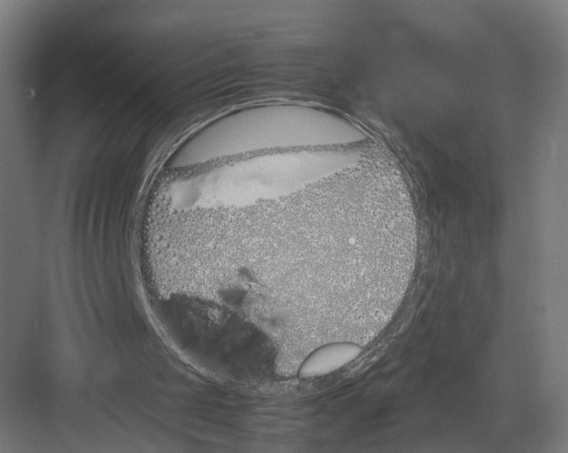 X0000082150049200702162219