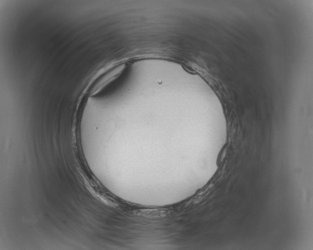 X0000082150050200702162219