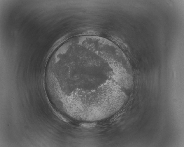 X0000082150051200702162219