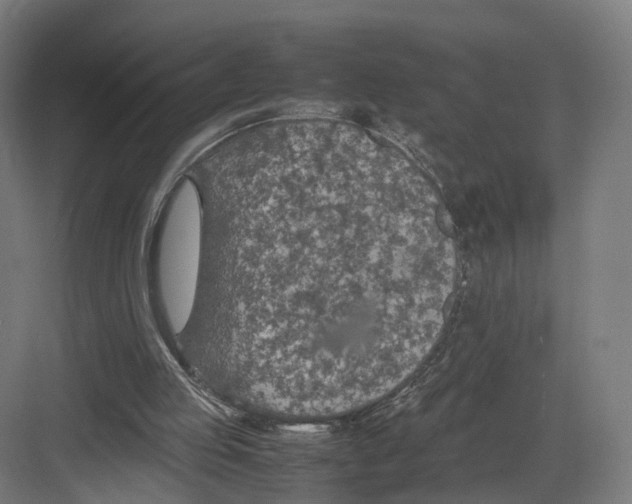 X0000082150053200702162219