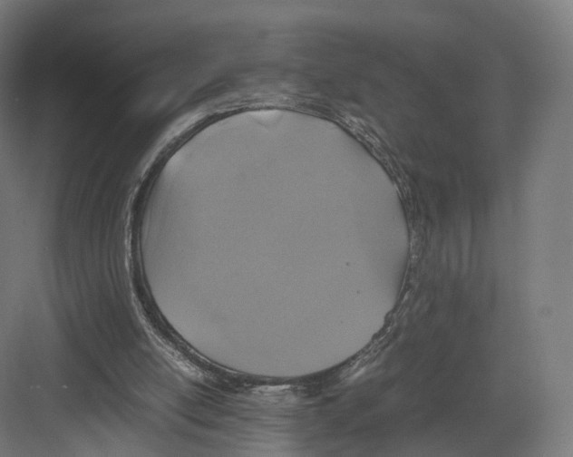 X0000082150054200702162219