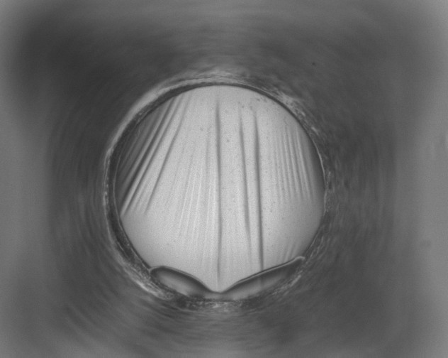 X0000082150056200702162219