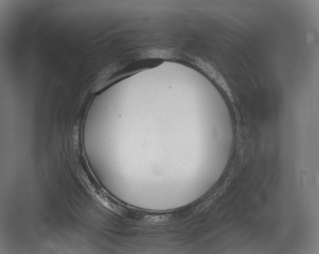 X0000082150057200702162219