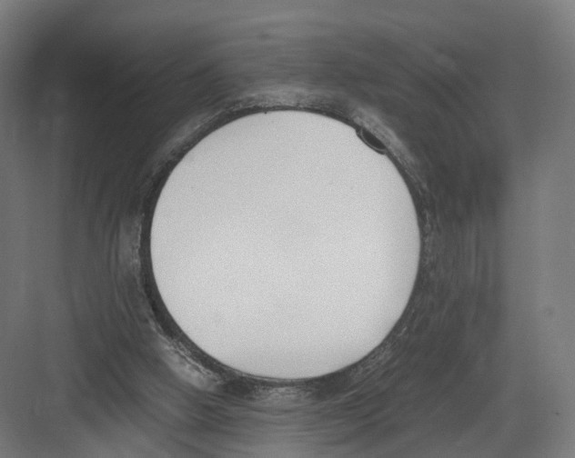 X0000082150058200702162219