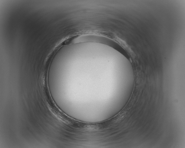 X0000082150060200702162219