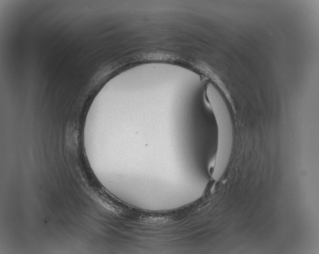 X0000082150063200702162219