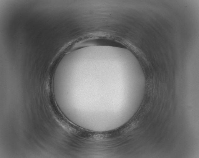 X0000082150064200702162219