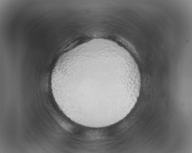 X0000082150065200702162219