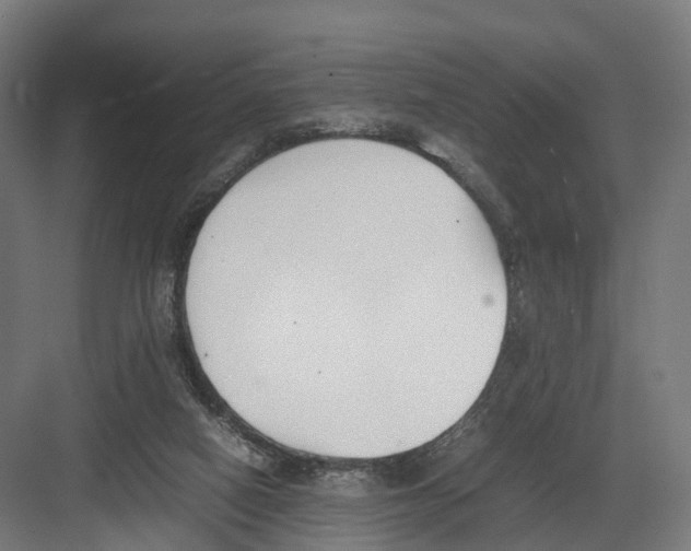 X0000082150066200702162219