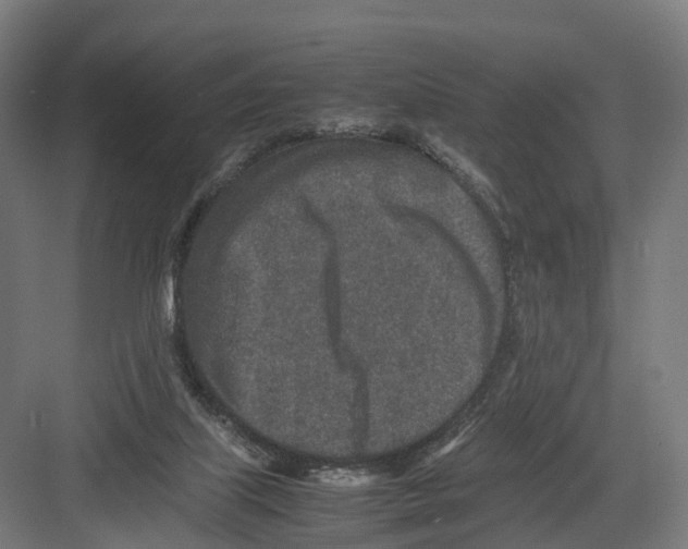 X0000082150067200702162219