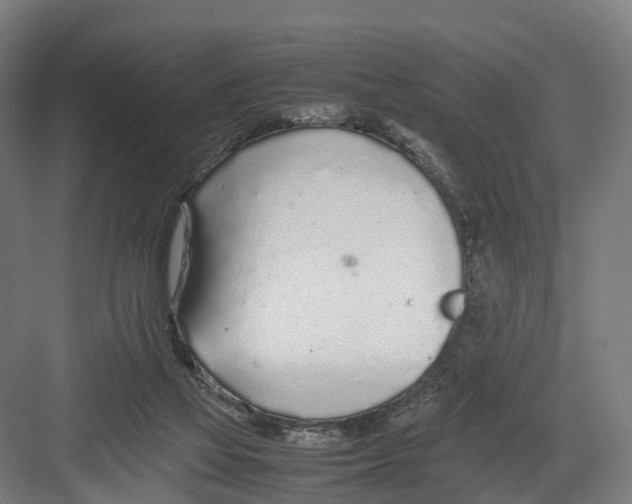 X0000082150069200702162219