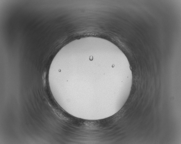 X0000082150070200702162219