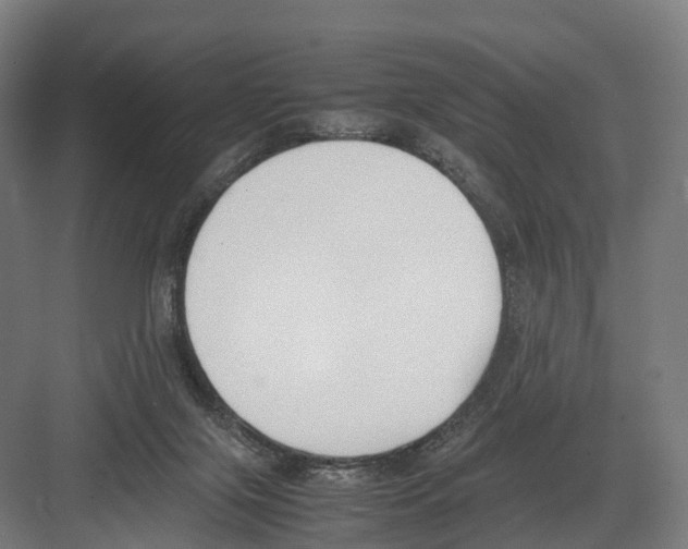 X0000082150071200702162219