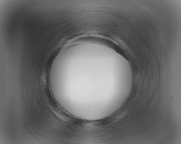 X0000082150072200702162219