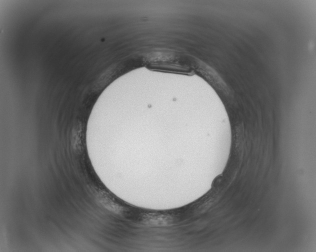 X0000082150073200702162219