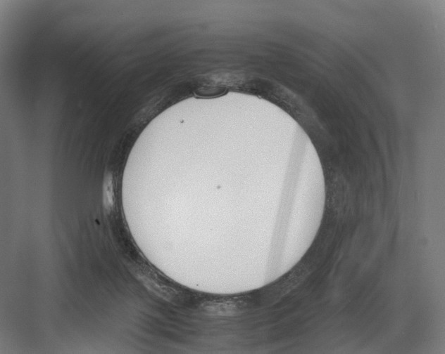 X0000082150075200702162219