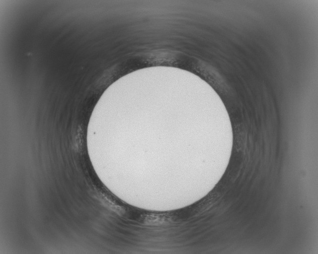 X0000082150077200702162219