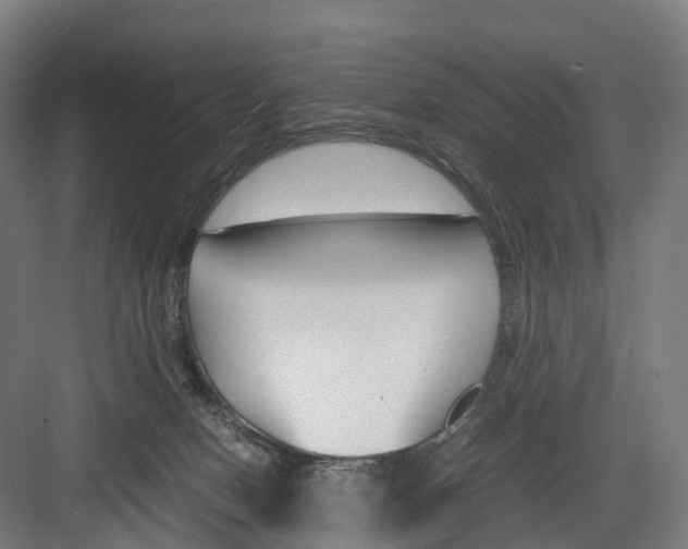 X0000082150078200702162219