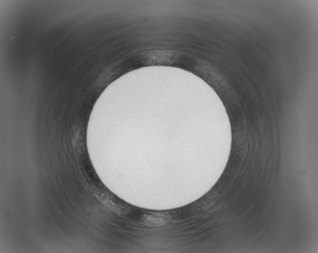 X0000082150079200702162219