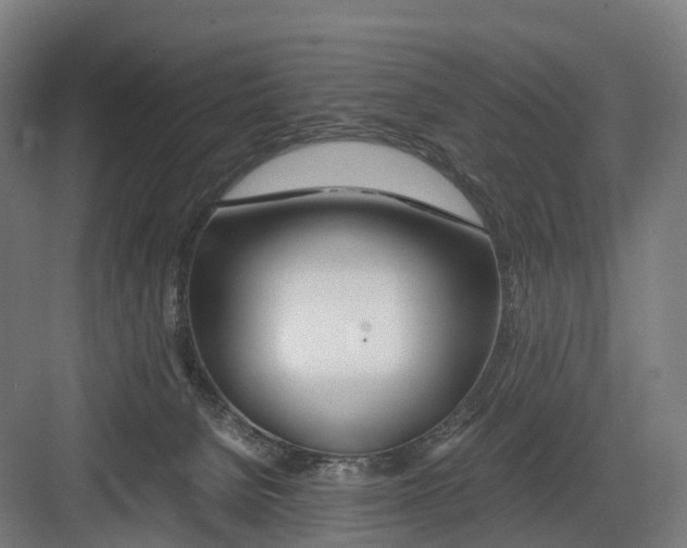 X0000082150080200702162219