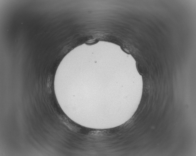 X0000082150082200702162219