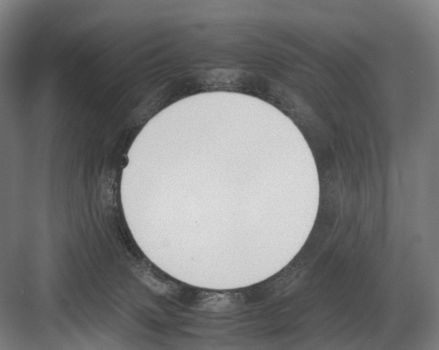 X0000082150083200702162219