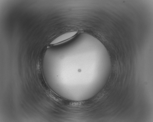 X0000082150084200702162219