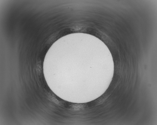 X0000082150085200702162219