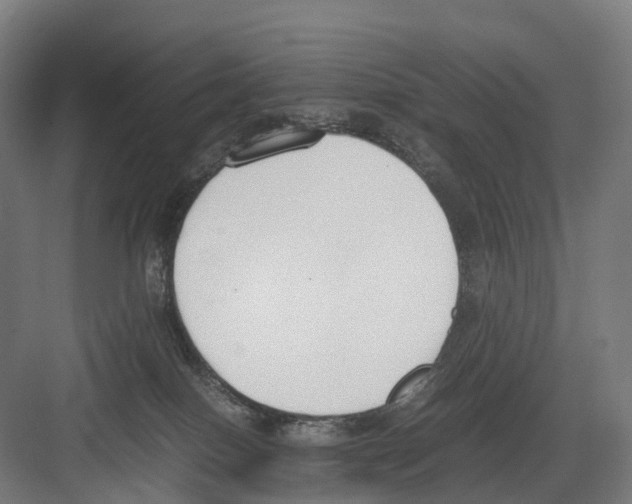 X0000082150086200702162219