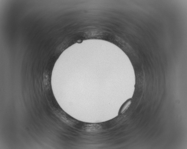 X0000082150087200702162219