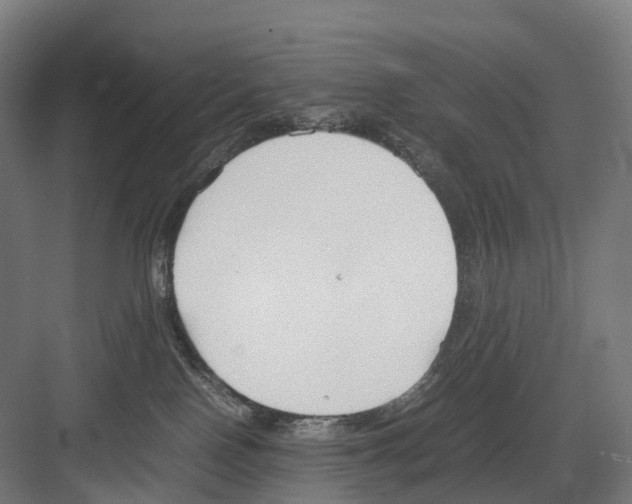 X0000082150090200702162220