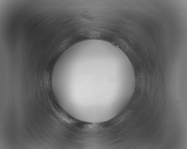 X0000082150092200702162220