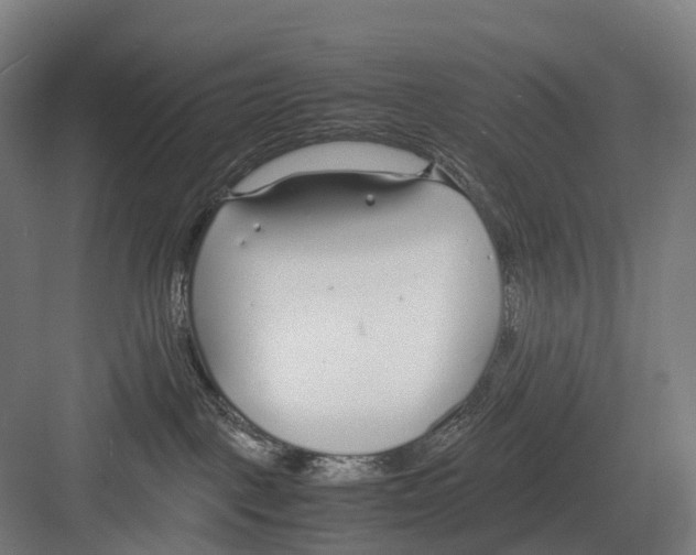 X0000082150093200702162220