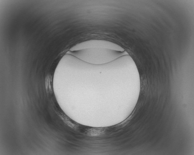 X0000082150094200702162220