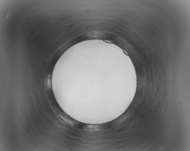 X0000082150095200702162220