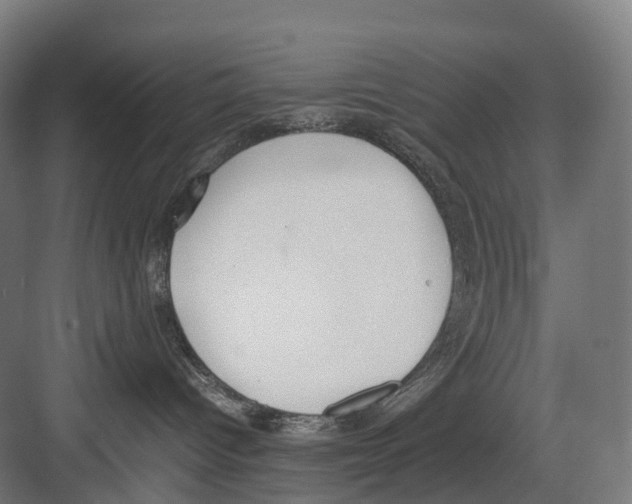 X0000082150096200702162220