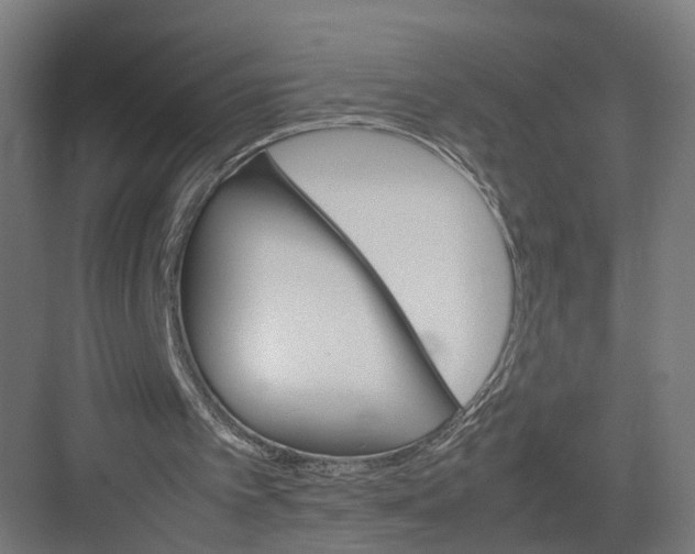 X0000082150097200702162219