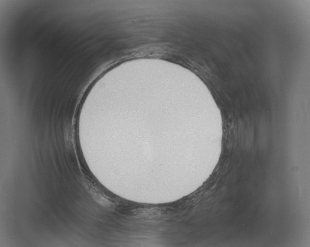 X0000082150100200702162219