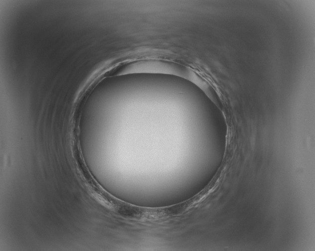 X0000082150101200702162219