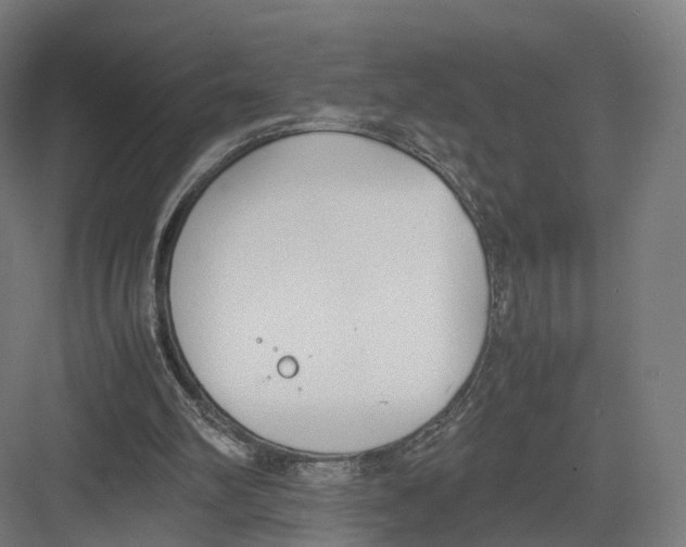 X0000082150102200702162219