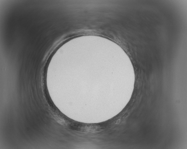 X0000082150103200702162219