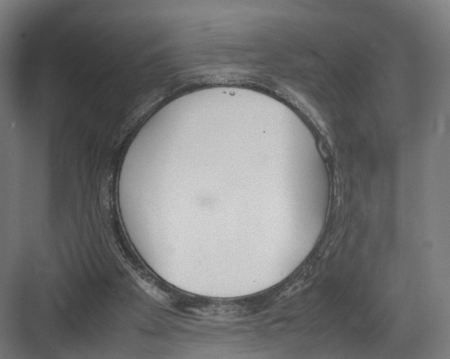 X0000082150105200702162219