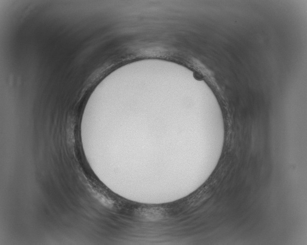 X0000082150106200702162219