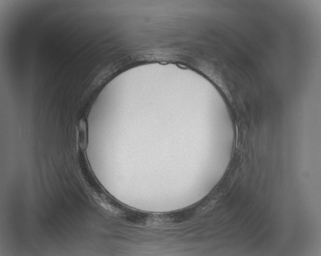 X0000082150109200702162219