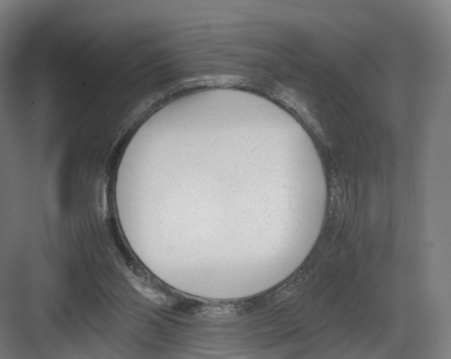 X0000082150110200702162219