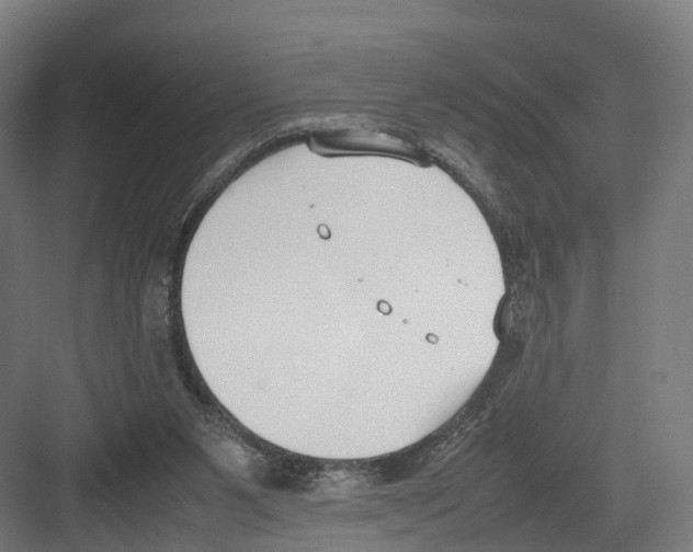 X0000082150111200702162219