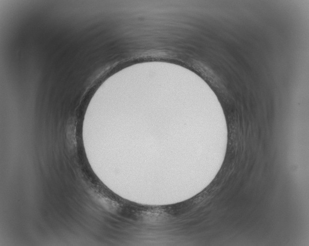 X0000082150112200702162219