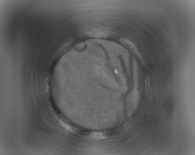 X0000082150114200702162219