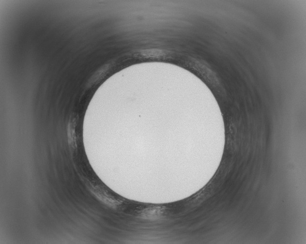 X0000082150116200702162219